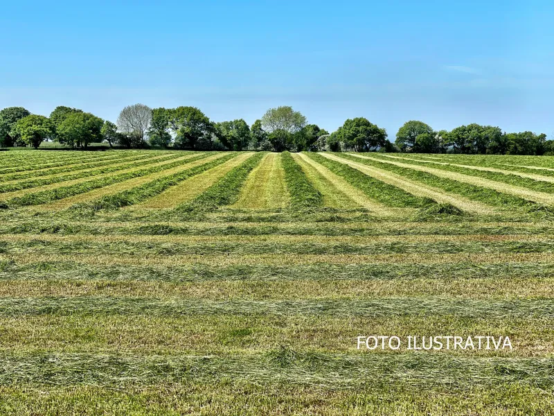 VENTA DE TERRENO EN CORONADO
